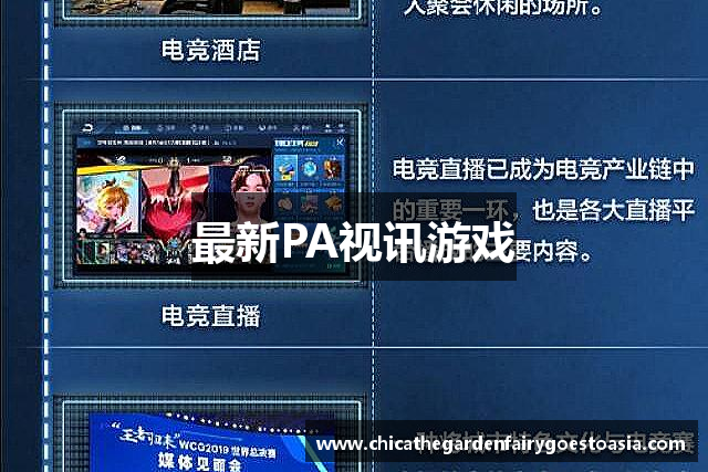 最新PA视讯游戏